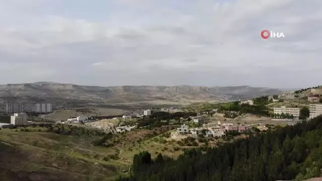 Şehmus Amca diktiği 10 bin ağaca gözü gibi bakıyor…Çöplüğü ormana çevirdi Şehmus Amca diktiği 10 bin ağaca gözü gibi bakıyor…Çöplüğü ormana çevirdi
