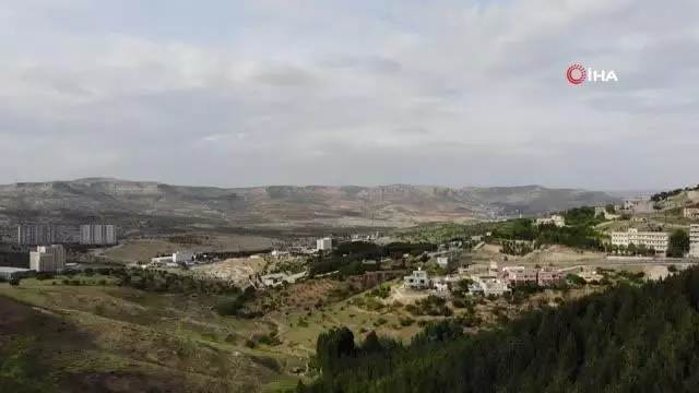 Şehmus Amca diktiği 10 bin ağaca gözü gibi bakıyor…Çöplüğü ormana çevirdi Şehmus Amca diktiği 10 bin ağaca gözü gibi bakıyor…Çöplüğü ormana çevirdi
