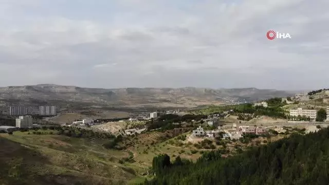 Şehmus Amca diktiği 10 bin ağaca gözü gibi bakıyor…Çöplüğü ormana çevirdi Şehmus Amca diktiği 10 bin ağaca gözü gibi bakıyor…Çöplüğü ormana çevirdi