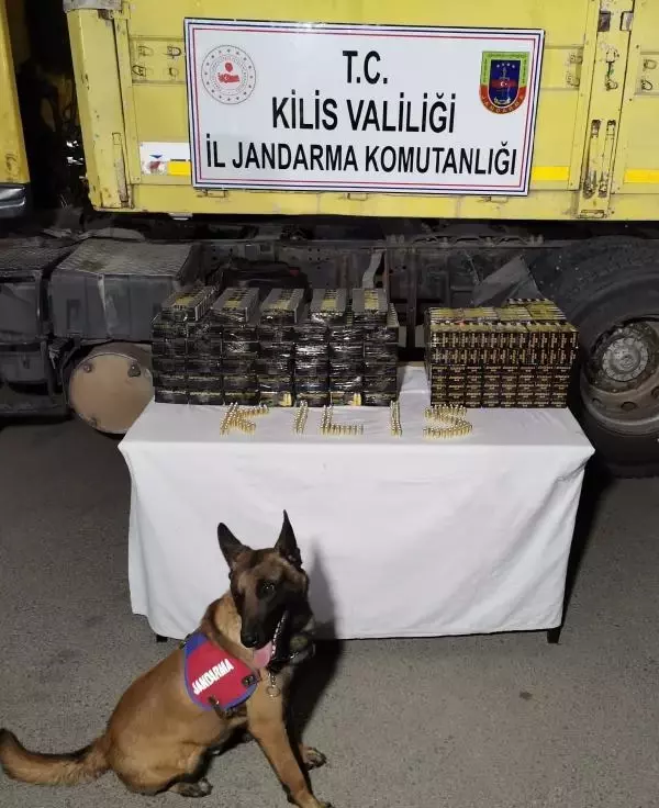 Sınır kapısında, TIR'da 33 bin mermi ele geçirildi Sınır kapısında, TIR'da 33 bin mermi ele geçirildi