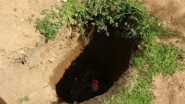 Sultangazi'de defineciler ormanı delik deşik etti; devasa çukurlar açtı Sultangazi'de defineciler ormanı delik deşik etti; devasa çukurlar açtı