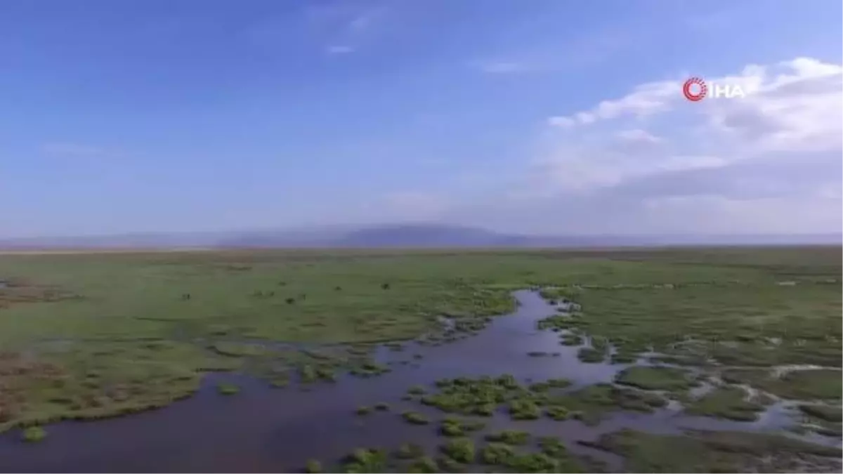 Tam kapanmayı doğa ile iç içe geçiriyorlar