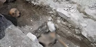 Kuşadası: Tarihi Kadıkalesi kazılarında 13'üncü yüzyıldan kalma insan iskeletleri bulundu Kuşadası: Tarihi Kadıkalesi kazılarında 13'üncü yüzyıldan kalma insan iskeletleri bulundu