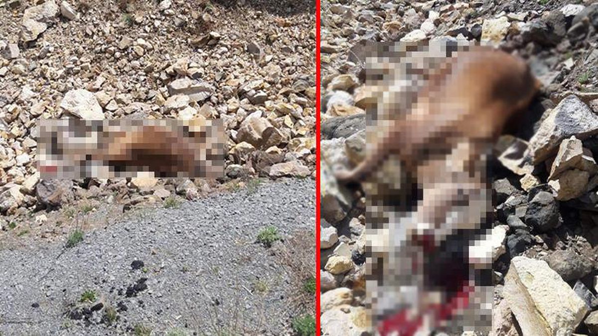 Yol çalışmalarındaki tedbirsizliğin faturasını gariban köylüler ödüyor