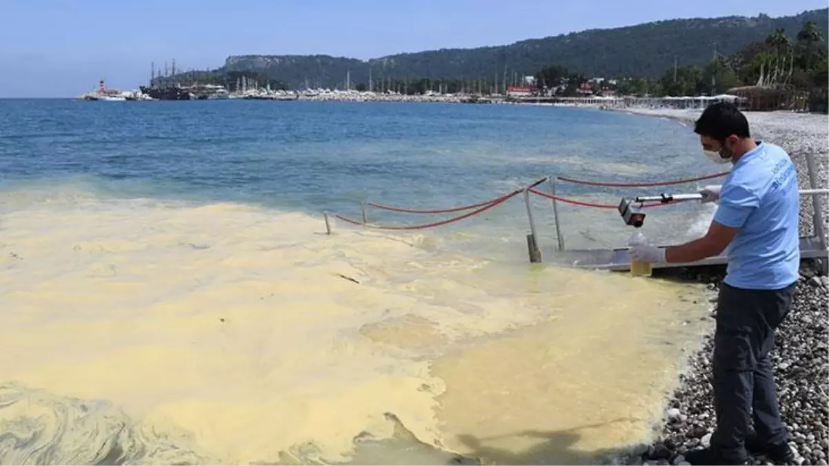Antalya'da denizin yüzeyini saran sarı tabakanın çevre kirliliğinden kaynaklandığı iddiası