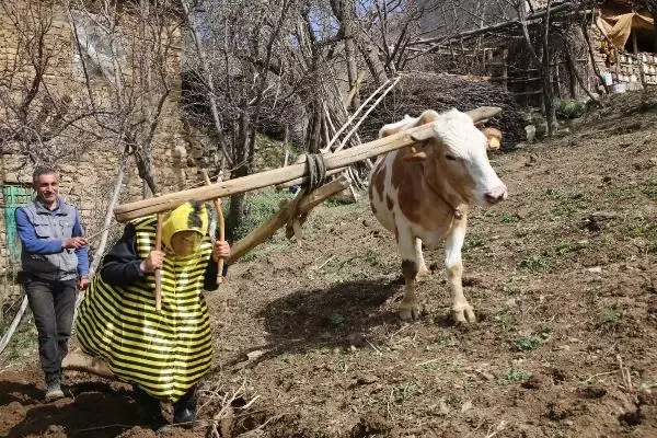 Her yaptığı olay! Ünlü türkücü Aydın Aydın, arı kostümü giydikten sonra çifte koşulup tarla sürdü Her yaptığı olay! Ünlü türkücü Aydın Aydın, arı kostümü giydikten sonra çifte koşulup tarla sürdü
