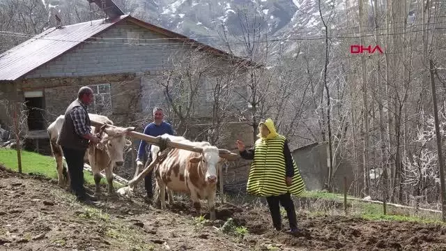 AYDIN AYDIN, ARI ÖLÜMLERİNE DİKKAT ÇEKMEK İÇİN ARI KOSTÜMÜ GİYDİ AYDIN AYDIN, ARI ÖLÜMLERİNE DİKKAT ÇEKMEK İÇİN ARI KOSTÜMÜ GİYDİ