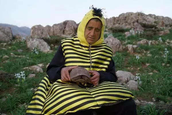 Her yaptığı olay! Ünlü türkücü şimdi de arı kostümü giydikten sonra çifte koşulup tarla sürdü