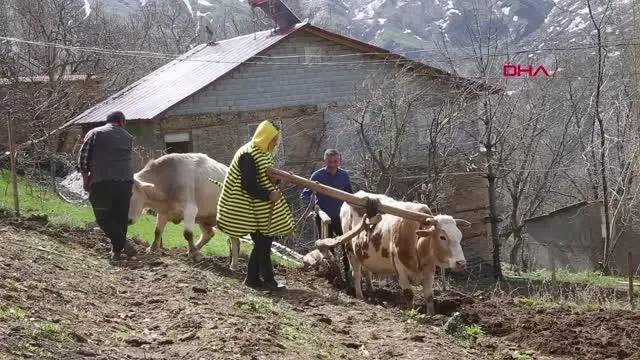 AYDIN AYDIN, ARI ÖLÜMLERİNE DİKKAT ÇEKMEK İÇİN ARI KOSTÜMÜ GİYDİ AYDIN AYDIN, ARI ÖLÜMLERİNE DİKKAT ÇEKMEK İÇİN ARI KOSTÜMÜ GİYDİ