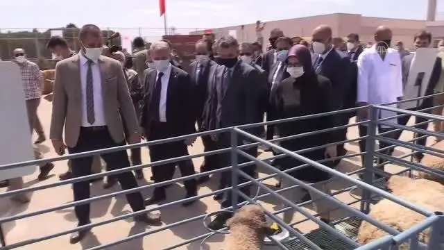 BALIKESİR - Tarım ve Orman Bakanı Pakdemirli, Koyunculuk Araştırma Enstitüsü Müdürlüğünde incelemelerde bulundu