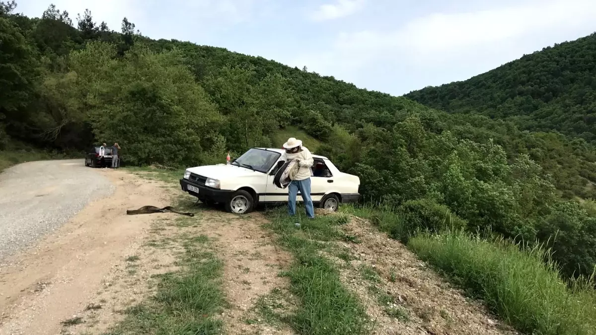 Çanakkale'de takla atan otomobildeki arılar yola saçıldı