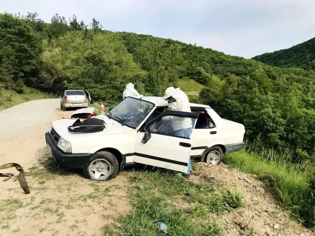 Çanakkale'de takla atan otomobildeki arılar yola saçıldı Çanakkale'de takla atan otomobildeki arılar yola saçıldı