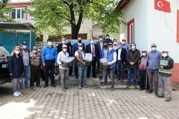 Çiftçilere yüzde 50 hibeli 54 bin çilek fidesi dağıtıldı Çiftçilere yüzde 50 hibeli 54 bin çilek fidesi dağıtıldı