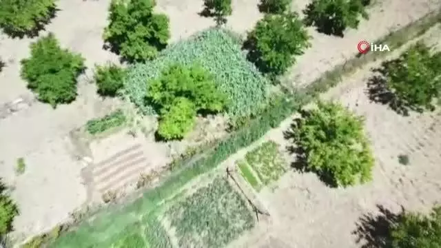 Drone ile tespit edildi, sökülerek imha edildi