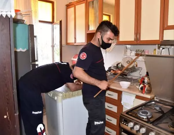 Yemek yapmak için mutfağa giren kadın, ocağın üstündeki yılanla karşılaştı Yemek yapmak için mutfağa giren kadın, ocağın üstündeki yılanla karşılaştı