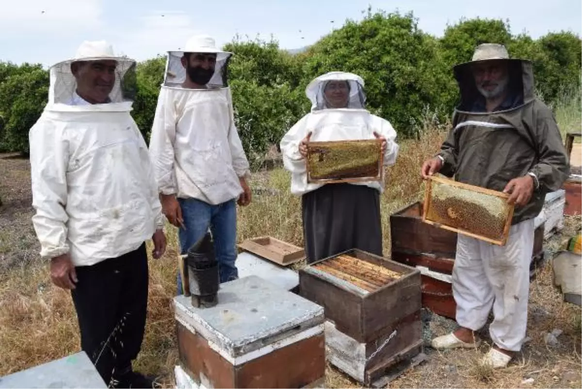 Gezgin arıcılardan 'geçiş üstünlüğü' talebi
