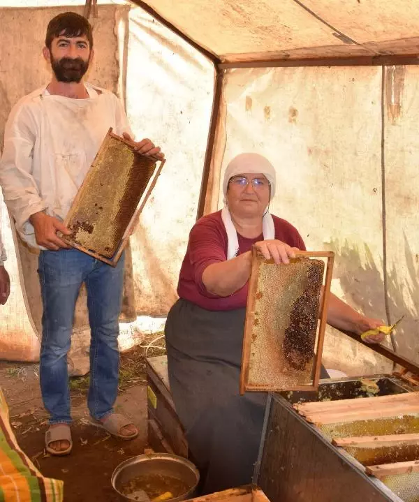 Gezgin arıcılardan 'geçiş üstünlüğü' talebi Gezgin arıcılardan 'geçiş üstünlüğü' talebi