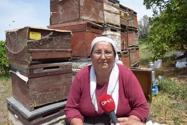 Gezgin arıcılardan 'geçiş üstünlüğü' talebi Gezgin arıcılardan 'geçiş üstünlüğü' talebi