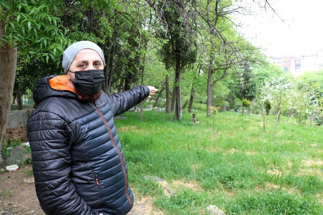 Mezarlığa dadanan köpekler mahalleliyi canından bezdirdi