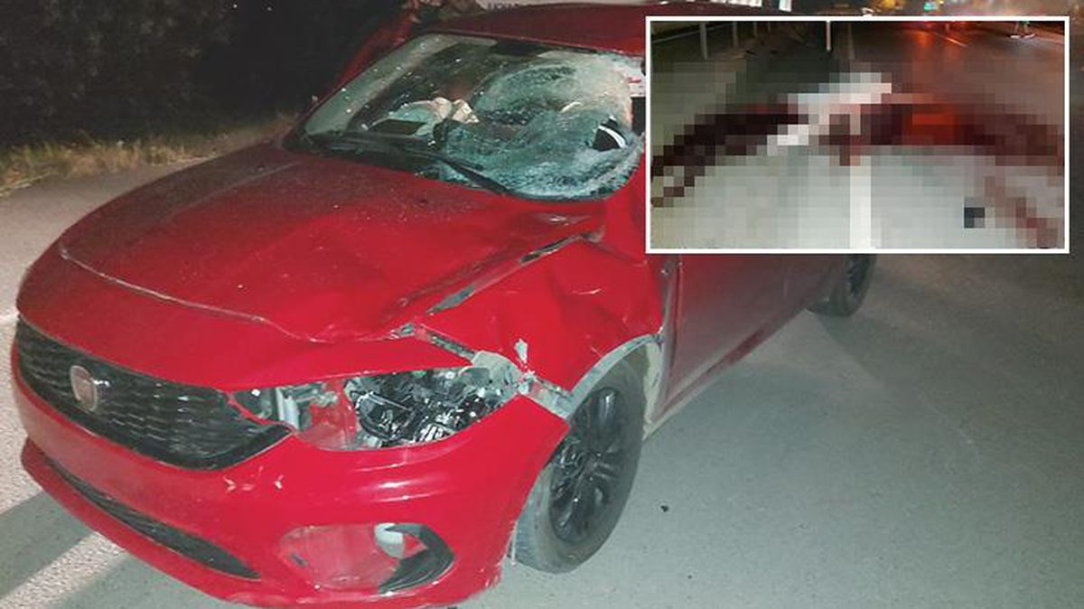 Otomobil ahırdan kaçan ata çarptı, kara yolu kan gönlüne döndü
