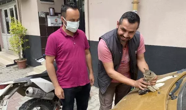 Son dakika haber: Otomobilin motor bölümüne giren kedi, cama bırakılan not ile kurtuldu Son dakika haber: Otomobilin motor bölümüne giren kedi, cama bırakılan not ile kurtuldu
