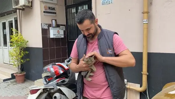 Son dakika haber: Otomobilin motor bölümüne giren kedi, cama bırakılan not ile kurtuldu Son dakika haber: Otomobilin motor bölümüne giren kedi, cama bırakılan not ile kurtuldu