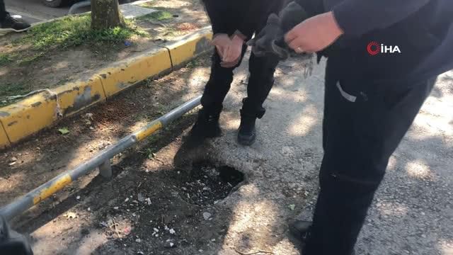 otoparkta oynayan yavru kopekler cukura sikis 2 14116877 o