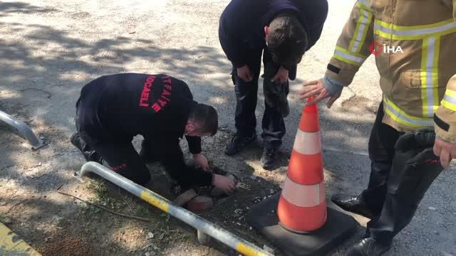 otoparkta oynayan yavru kopekler cukura sikis 4 14116877 o