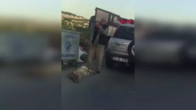 SARIYER'DE KÖPEĞİNİ SİLAHLA VURARAK ÖLDÜRDÜĞÜ İDDİA EDİLEN KİŞİ GÖZALTINA ALINDI