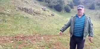 Tarlada oluşan 10 metrelik çukur vatandaşları tedirgin etti