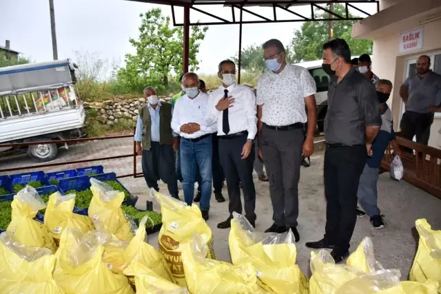 Tarsus Belediyesi çiftçilere 7 ton gübre, 50 bin marul fidesi dağıttı Tarsus Belediyesi çiftçilere 7 ton gübre, 50 bin marul fidesi dağıttı
