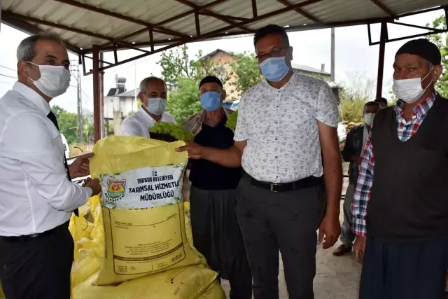 Tarsus Belediyesi çiftçilere 7 ton gübre, 50 bin marul fidesi dağıttı Tarsus Belediyesi çiftçilere 7 ton gübre, 50 bin marul fidesi dağıttı
