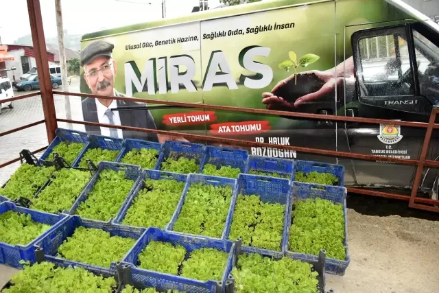 Tarsus Belediyesi çiftçilere 7 ton gübre, 50 bin marul fidesi dağıttı Tarsus Belediyesi çiftçilere 7 ton gübre, 50 bin marul fidesi dağıttı