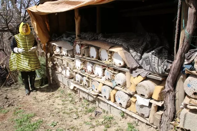 Türkücü Aydın Aydın arı kostümü giyerek hayvanlarla helalleşti