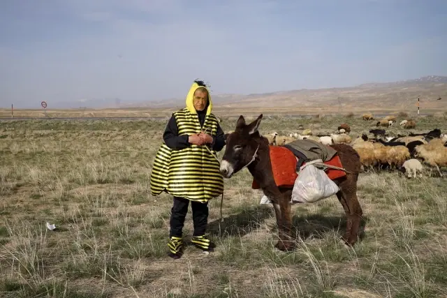 Türkücü Aydın Aydın arı kostümü giyerek hayvanlarla helalleşti