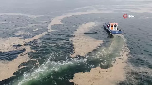 38 günde 100 ton deniz salyası toplandı 38 günde 100 ton deniz salyası toplandı