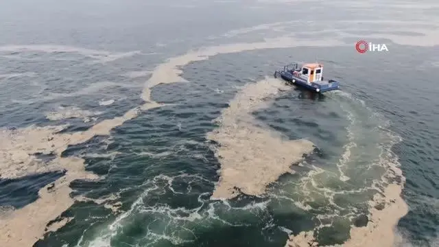 38 günde 100 ton deniz salyası toplandı 38 günde 100 ton deniz salyası toplandı
