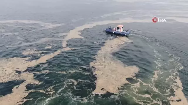 38 günde 100 ton deniz salyası toplandı 38 günde 100 ton deniz salyası toplandı