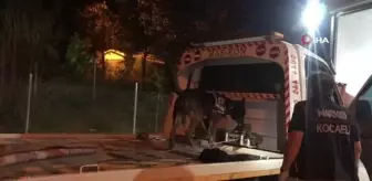 Narkotik Suçlarla Mücadele Şube Müdürlüğü: Akü kısmına gizlenen uyuşturucuları Alfa buldu Narkotik Suçlarla Mücadele Şube Müdürlüğü: Akü kısmına gizlenen uyuşturucuları Alfa buldu