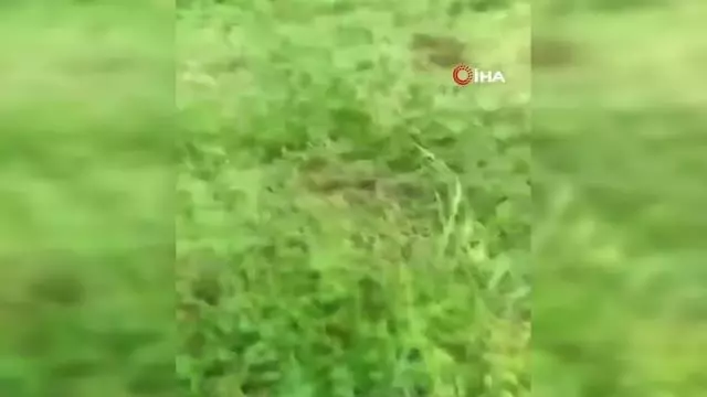Devrilen traktörden şans eseri kurtuldu