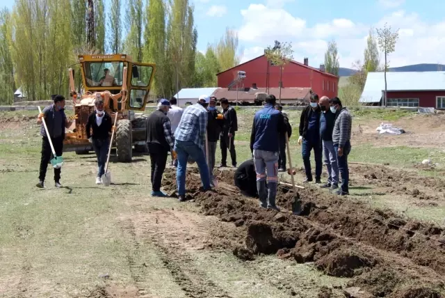 Diyadin'de 10 Bin 400 adet lavanta ekimi yapıldı Diyadin'de 10 Bin 400 adet lavanta ekimi yapıldı