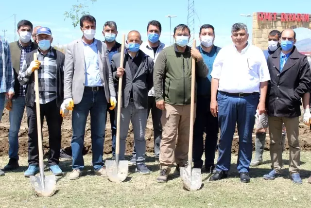 Diyadin'de 10 Bin 400 adet lavanta ekimi yapıldı Diyadin'de 10 Bin 400 adet lavanta ekimi yapıldı