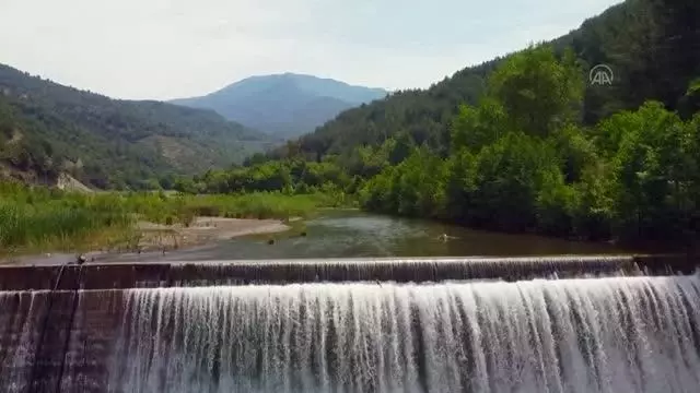 Pazar yerleri Kovid-19 önlemlerine uyularak açıldı Pazar yerleri Kovid-19 önlemlerine uyularak açıldı