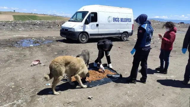 Erciş'te sokak hayvanları için alanlara mama ve su bırakıldı