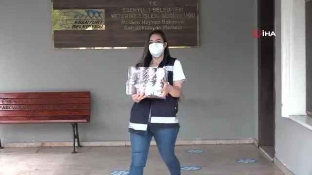 Esenyurt Belediyesi'nden hayvansever annelere sürpriz kutlama Esenyurt Belediyesi'nden hayvansever annelere sürpriz kutlama
