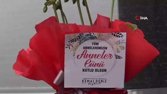 Esenyurt Belediyesi'nden hayvansever annelere sürpriz kutlama Esenyurt Belediyesi'nden hayvansever annelere sürpriz kutlama
