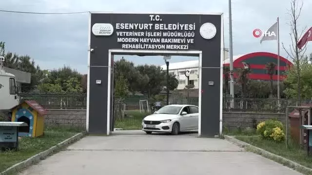 Esenyurt Belediyesi'nden hayvansever annelere sürpriz kutlama Esenyurt Belediyesi'nden hayvansever annelere sürpriz kutlama