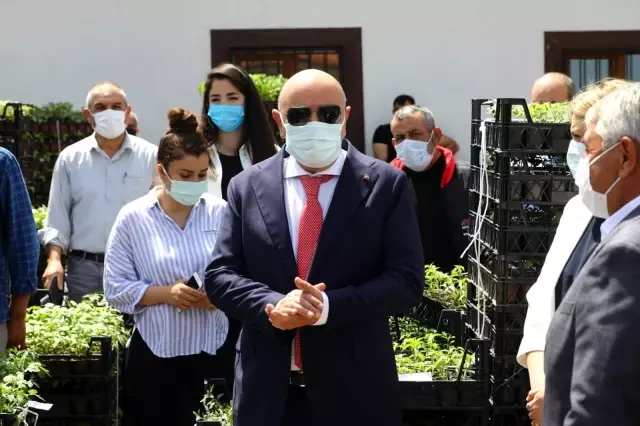 Keçiören'deki çiftçilere ücretsiz sebze fidesi dağıtıldı Keçiören'deki çiftçilere ücretsiz sebze fidesi dağıtıldı