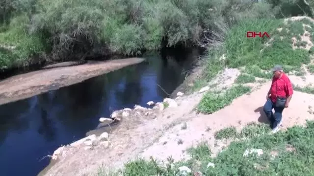 MANİSA TARIM ALANLARINI BESLEYEN ALAŞEHİR ÇAYI SİYAH AKIYOR MANİSA TARIM ALANLARINI BESLEYEN ALAŞEHİR ÇAYI SİYAH AKIYOR