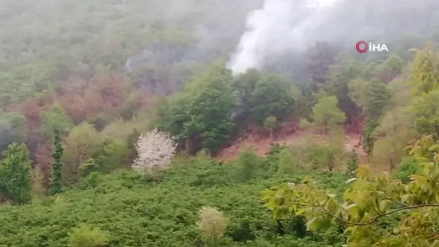 Son dakika! Ordu'da örtü yangını Son dakika! Ordu'da örtü yangını